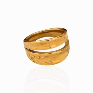 Anillo Doble