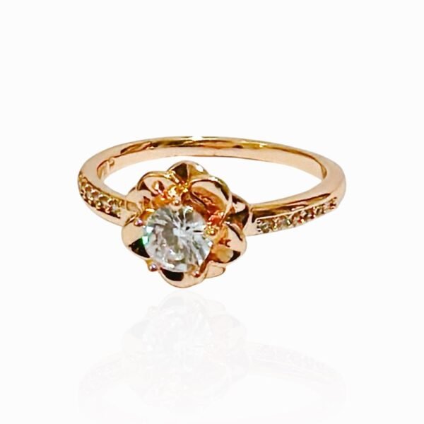Anillo Manjari