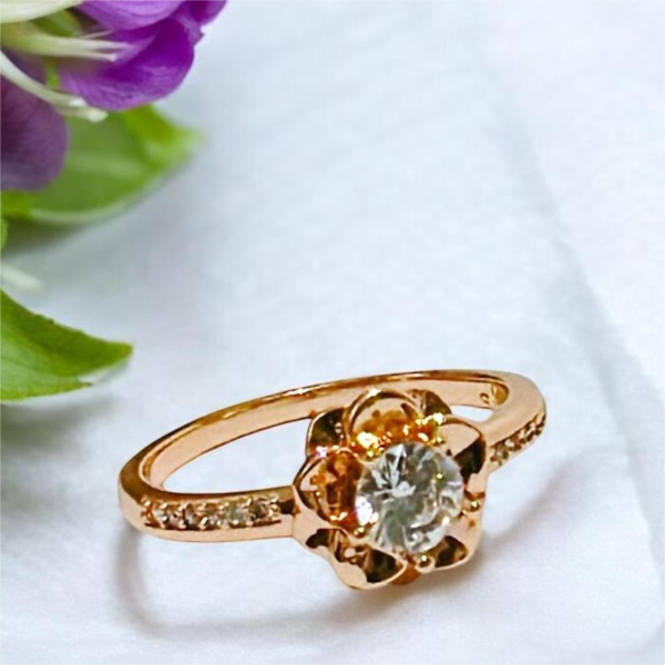 Anillo Manjari - Imagen 2