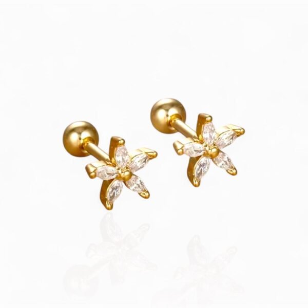 Piercing Carmesí - Imagen 2