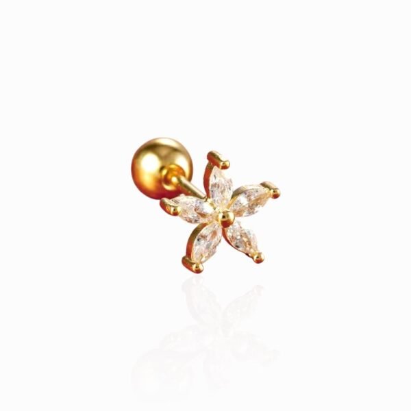 Piercing Carmesí