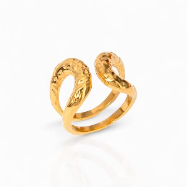 Anillo Abrazo